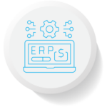 Enterprise Software Systems